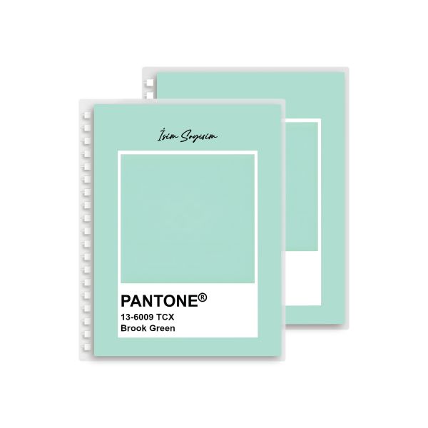 Mint Pantone Yedek Kapak