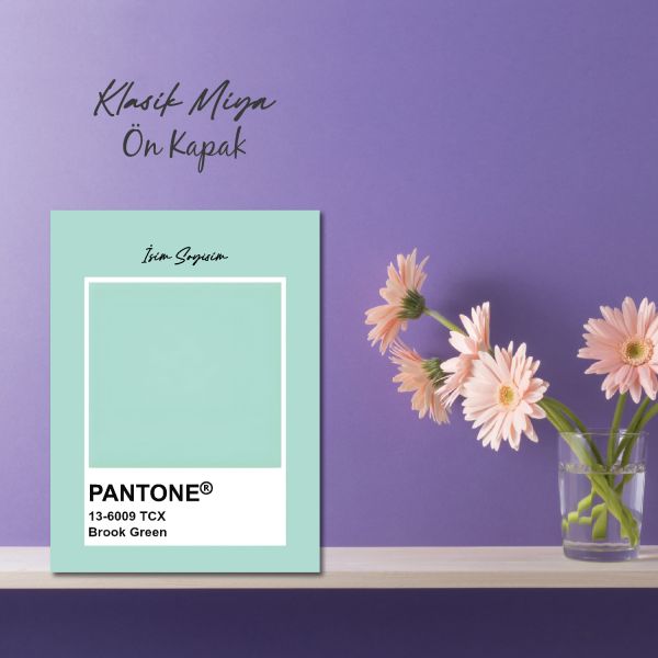 Mint Pantone